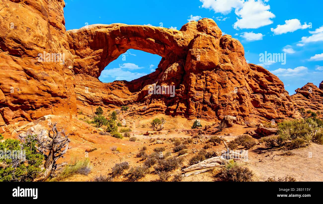 Der South Window Arch, eine der vielen großen Sandsteinzarren im Arches National Park Utah, Vereinigte Staaten Stockfoto
