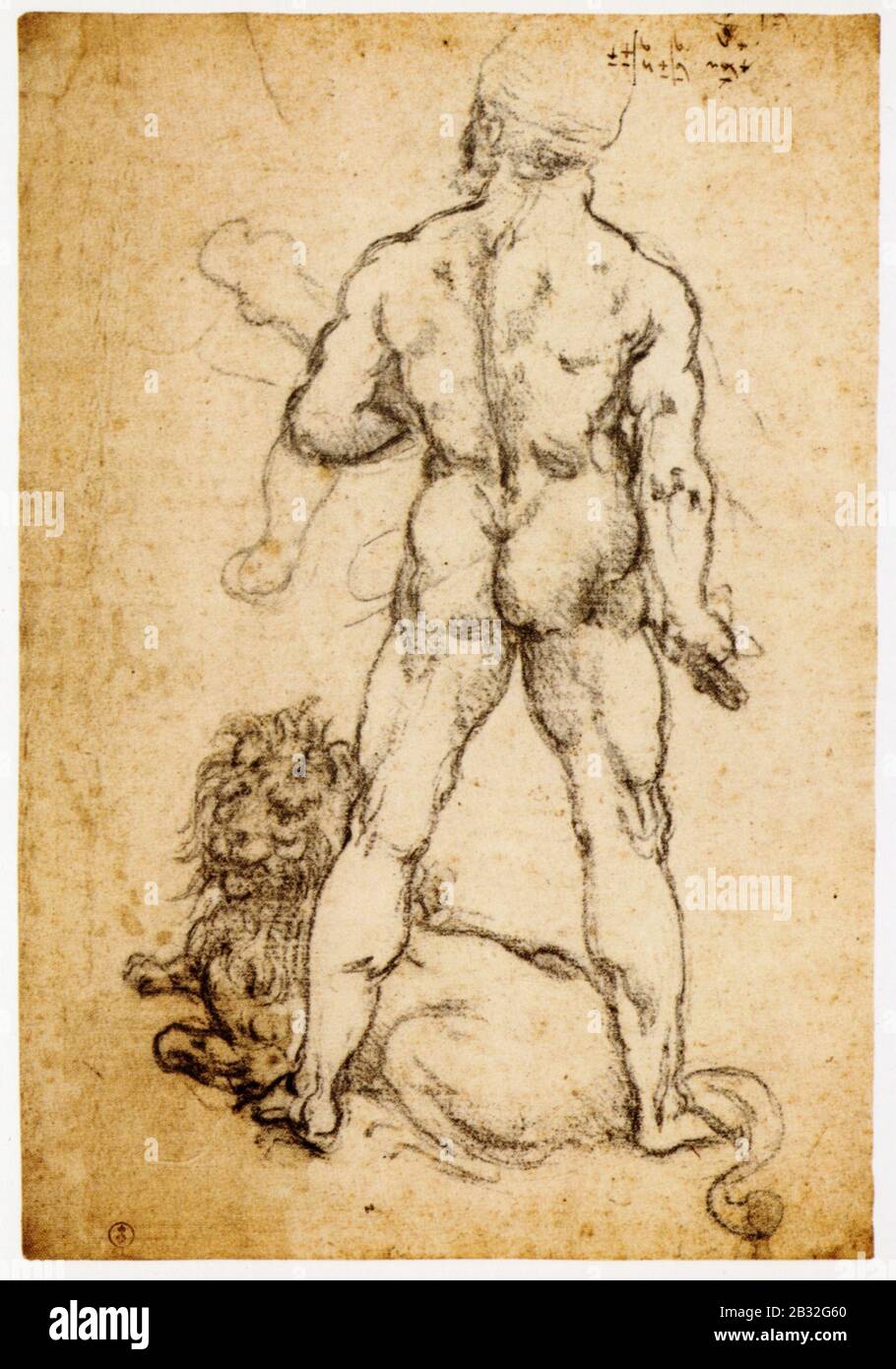 Leonardo da Vinci. Untersuchung des Herkules mit dem Nemäischen Löwen. 1505-1506 Stockfoto