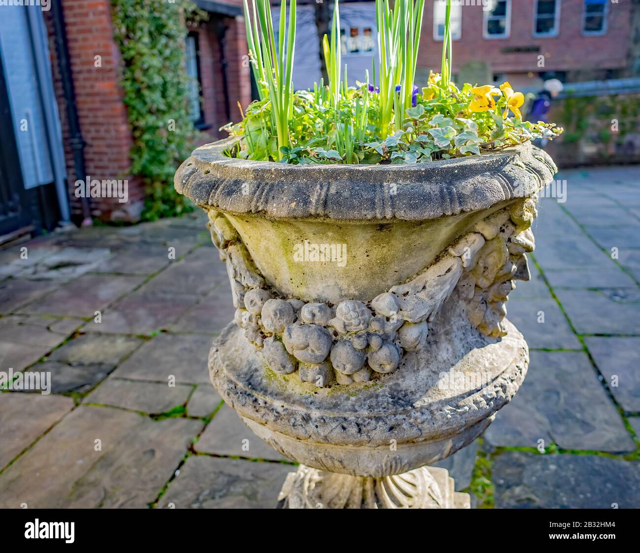 3 Norwich, Norfolk, Großbritannien - 01. März 2020. Nahaufnahme und selektive Fokussierung des Beton-Statue-Blumentopfes im Innenhof des Maddermarket-Theaters Stockfoto