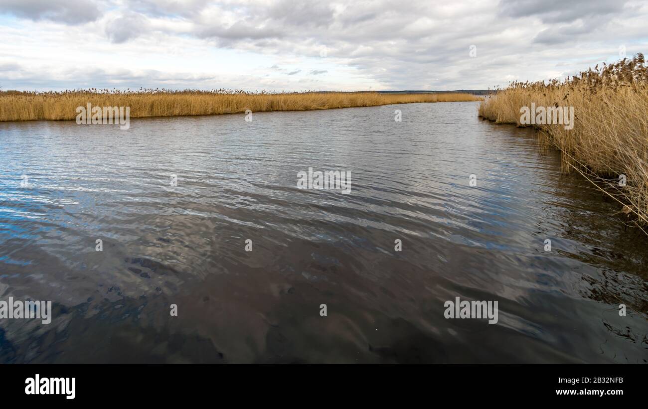 Fantastischer Tag am Naturweltradition Federsee bei Bad Buchau, Oberschwaben, Deutschland. Stockfoto