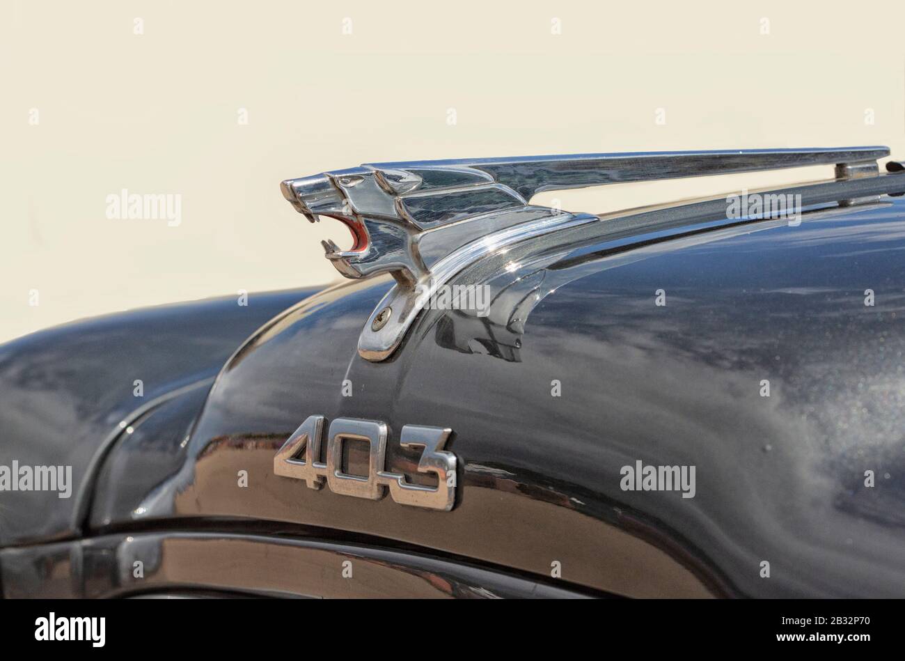 Nahaufnahme des Löwen-Emblems auf dem Peugeot 403 aus dem Jahr 1963 Stockfoto