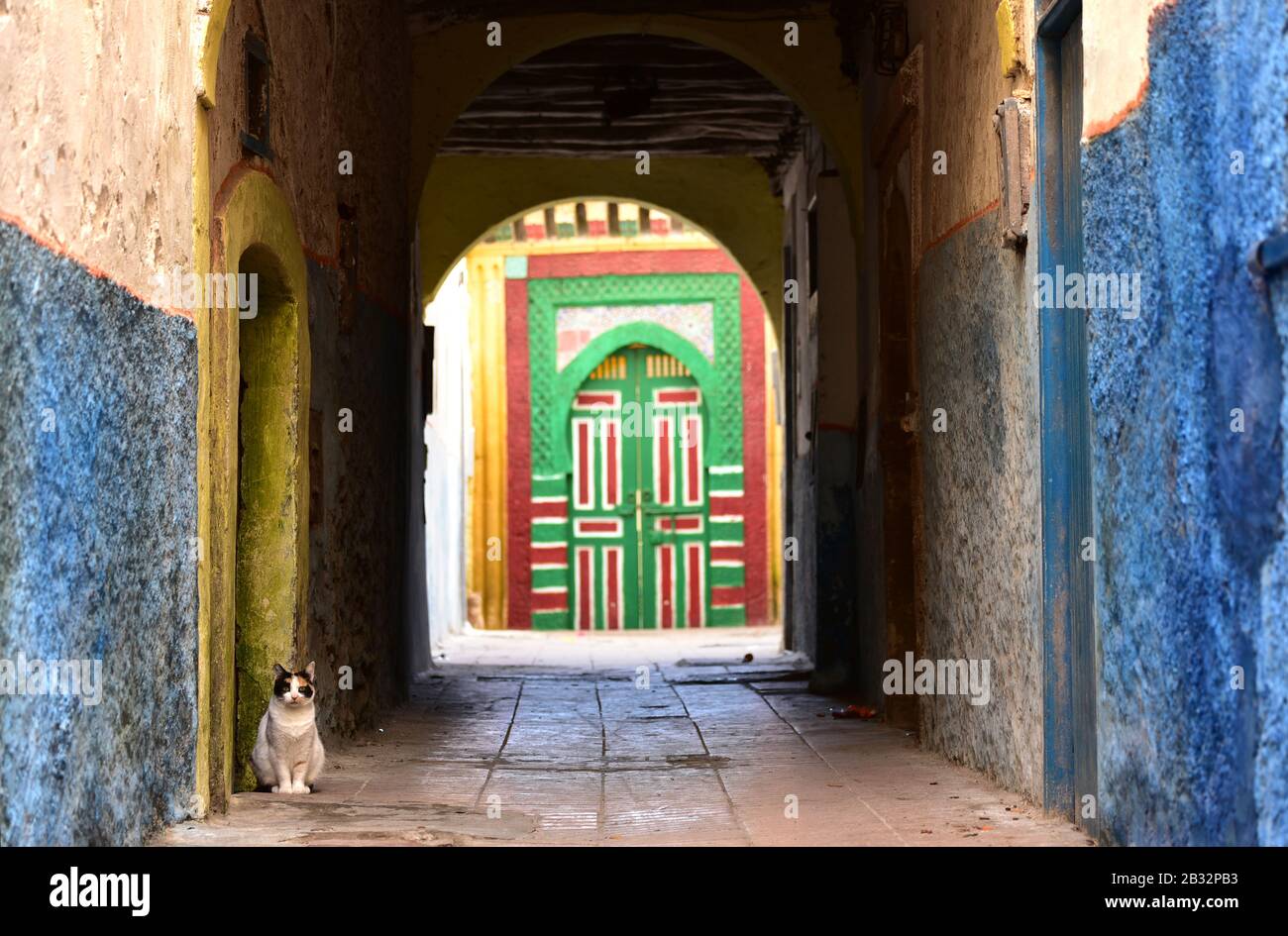 Streunende Katze in einer traditionellen Straße der Medina mit farbenfroher marokkanischer Tür im Hintergrund. Essaouira, Marokko, Nordafrika Stockfoto