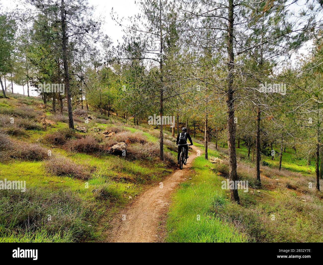 Mountainbikerfahrten auf einem Weg in einem Wald auf den Hügeln. Stockfoto