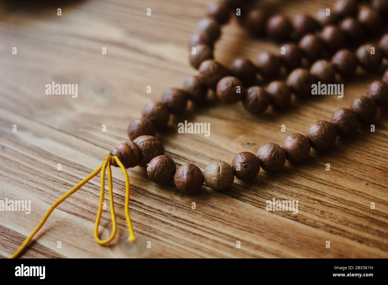 Rudraksha japa mala. Rosary aus Rudraksha-Samen Stockfoto