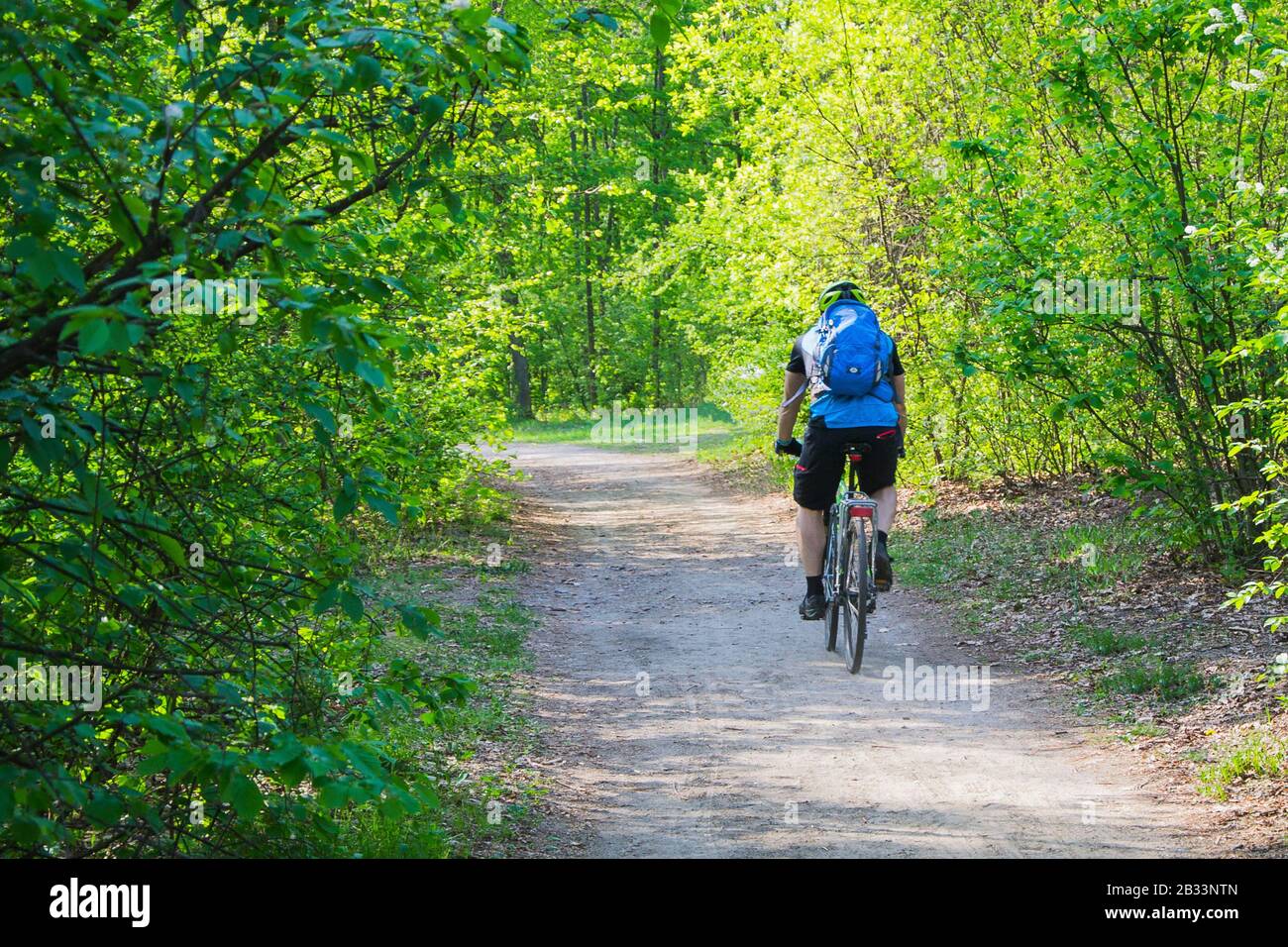 Man Radfahrer in schützender, Fahrradabfahrt E-Bike in der Parkallee am Sommertag unter vielen Bäumen. Rückansicht. Stockfoto