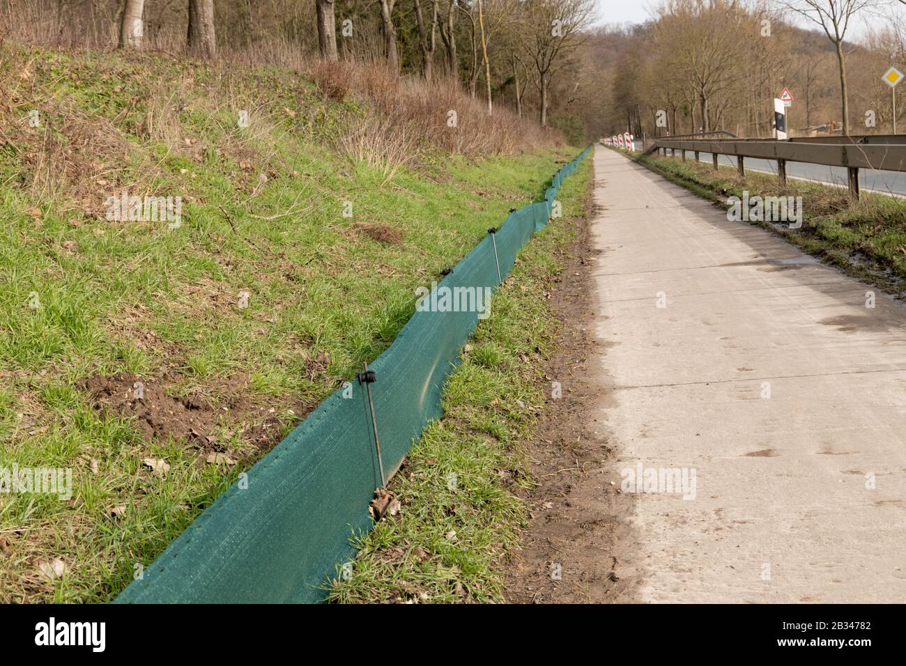 Eine Barriere für die Migration von Kröten im Frühling Stockfoto