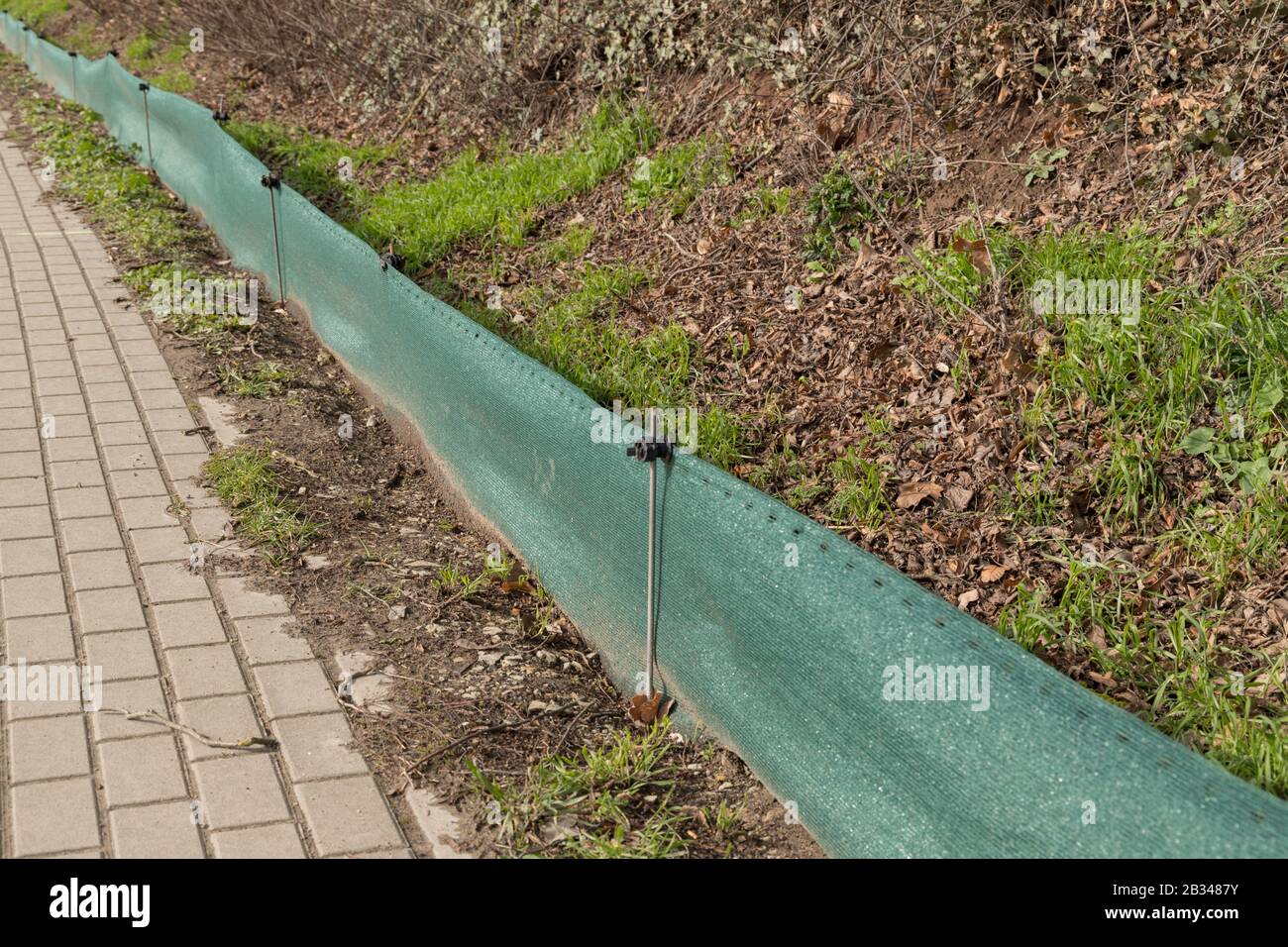 Eine Barriere für die Migration von Kröten im Frühling Stockfoto