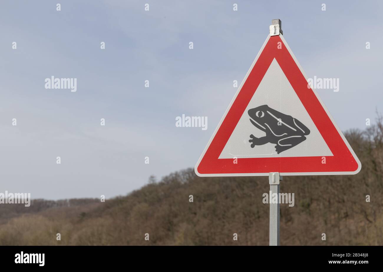 Das Schild warnt Autofahrer, dass Kröte die Straße überqueren können Stockfoto