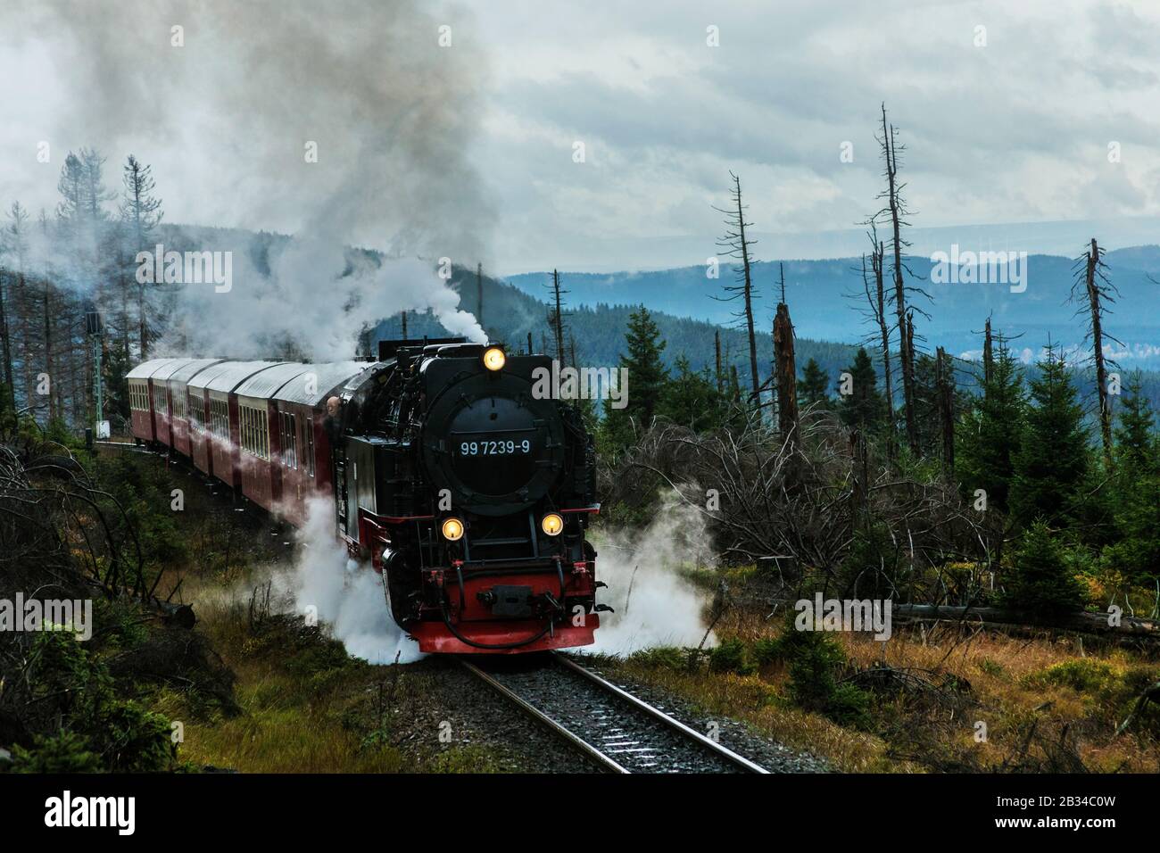 Schmalspurbahnen Harz zum Brocken, Deutschland, Harz Stockfoto