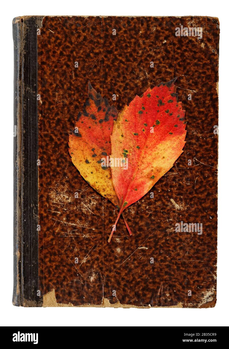 Herbstliches Stillleben - Vanitas-Konzept Stockfoto