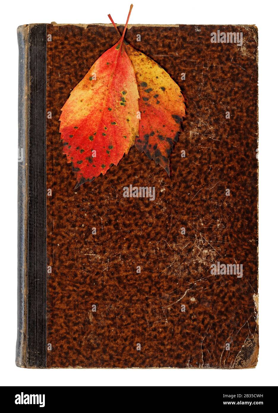 Memento Mori Konzept: Vanitas-Konzept mit herbstlichen Blättern auf einem alten verstreuten und getuchten Buchcover Stockfoto