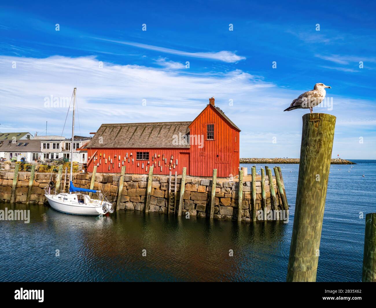 Roter Angelschreck in Rockport Stockfoto