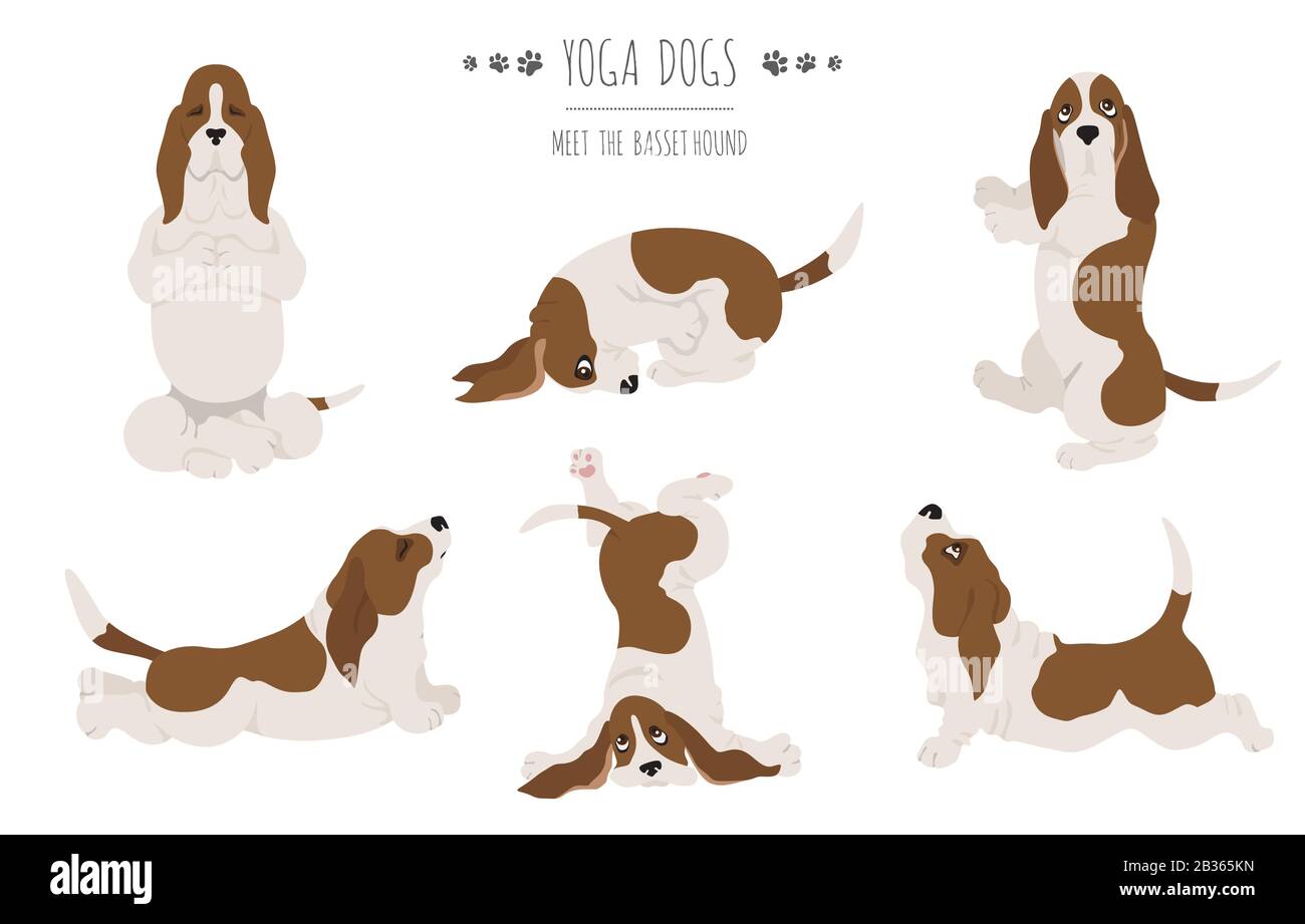 Yoga-Hunde werfen und trainieren. Basset Hound Clipart. Vektorgrafiken Stock Vektor