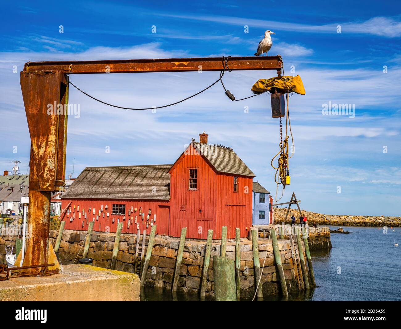 Roter Angelschreck in Rockport Stockfoto