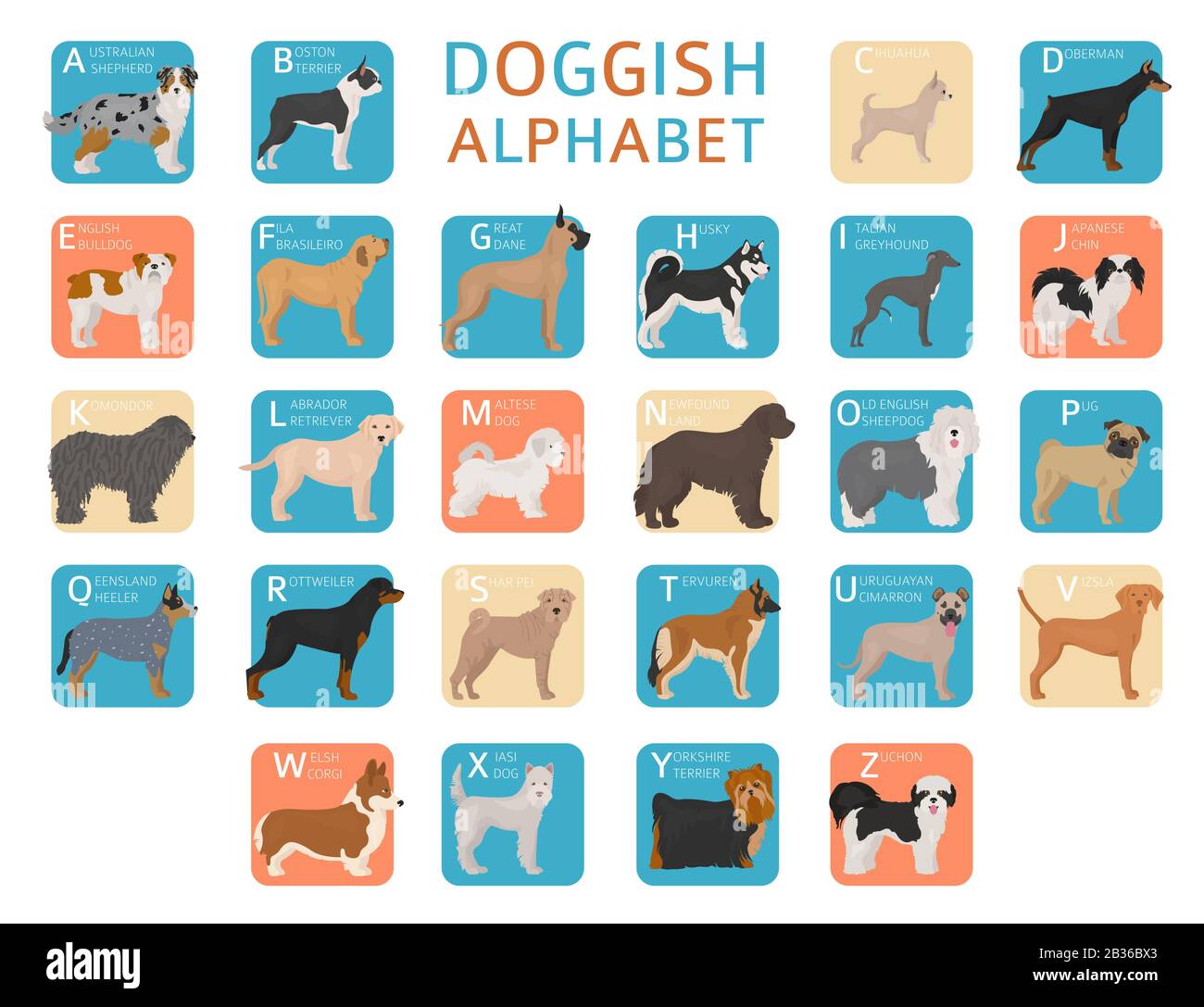 Doggisches Alphabet für Hundefreunde. Buchstaben des Alphabets mit den Namen der Hunderassen. Vektorgrafiken Stock Vektor