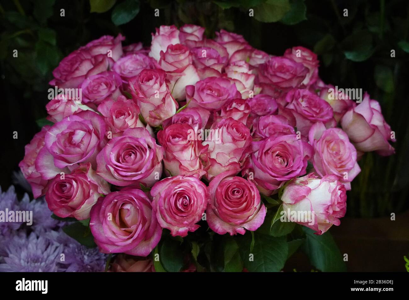 Bunch Of Pink Roses For Love Background. Rosenstrauß In Weicher Farbe. Hintergrundbild der Rosen. Nahaufnahme von Rosen. Stockfoto