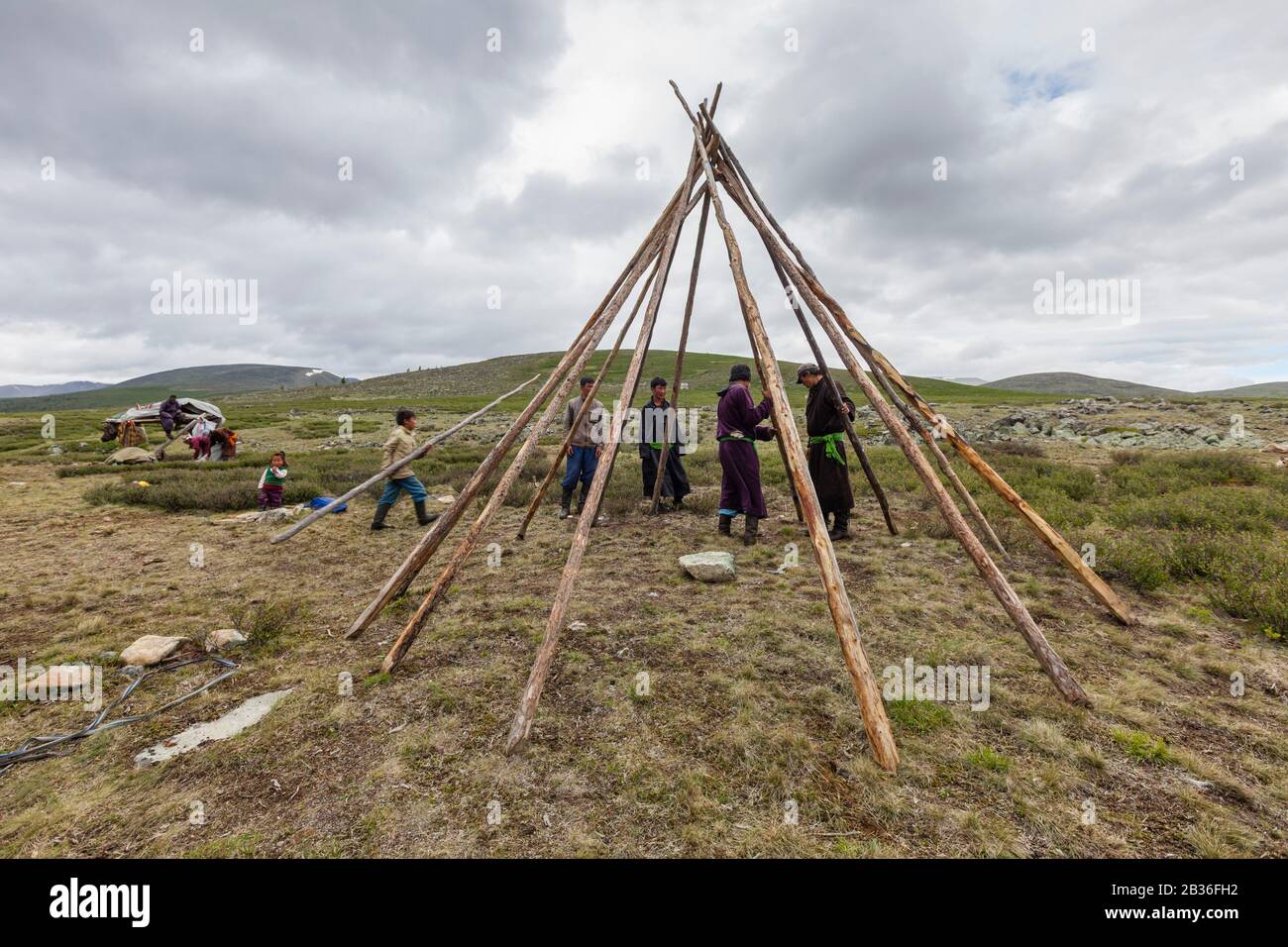 Mongolia, Provinz Khovsgol, in der Nähe von Tsagaannuur, West Taiga, Tsaatan Camp, Bau eines traditionellen Zeltes, Höhe 2203 Meter Stockfoto