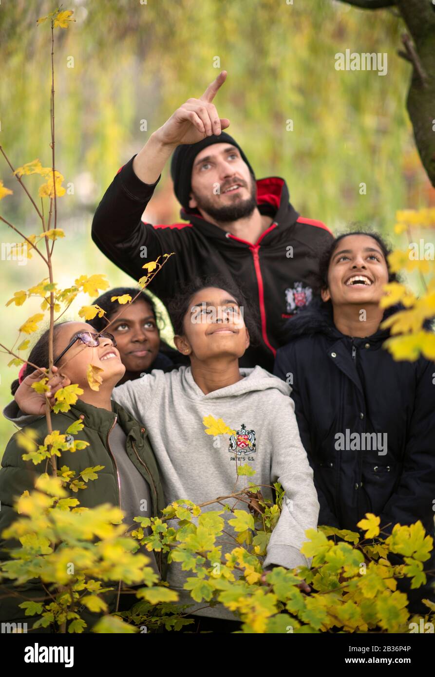 Ein Jahr 7 Bushcraft Unterricht an einer weiterführenden Schule, Großbritannien. Stockfoto