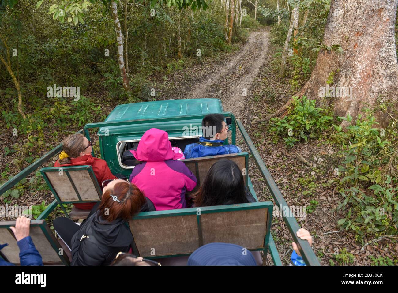Sauraha, Nepal - 20. Januar 2020: Menschen auf einer Jeep-Safari im Chitwan-Nationalpark in Nepal Stockfoto
