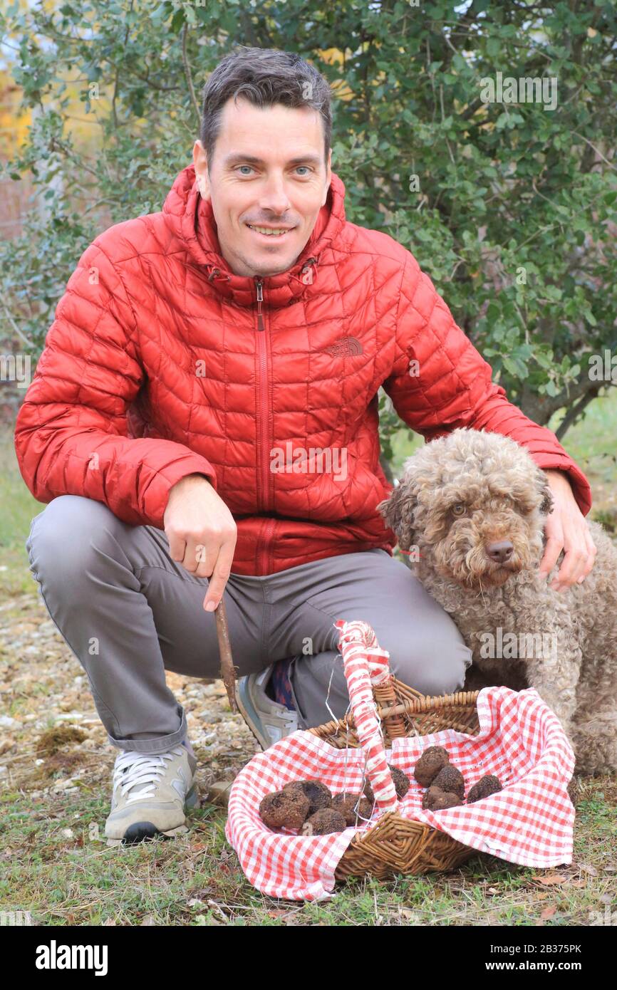 Frankreich, Correze, Causses, die Suche nach schwarzen Trüffeln (Cavage) der Tuber Melanosporum Sorte in einem Trüffelfeld mit Stephane Foissac (Trüffelzüchter) und seinem Trüffelhund Stockfoto