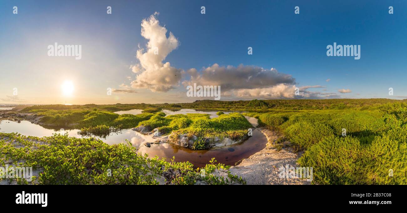 Ecuador, die Inselgruppe Galápagos, die von der UNESCO zum Weltkulturerbe erklärt wurde, die Insel San Cristóbal, Im Herzen des Naturschutzgebietes, die Lagune von El Junco ist eine der wenigen ständigen Quellen für Süßwasser in allen Galápagos, Sie verhindert die Verdunstung dank ihrer Höhe - etwa 700 Meter über dem Meeresspiegel im Hochland von San Cristobal Stockfoto