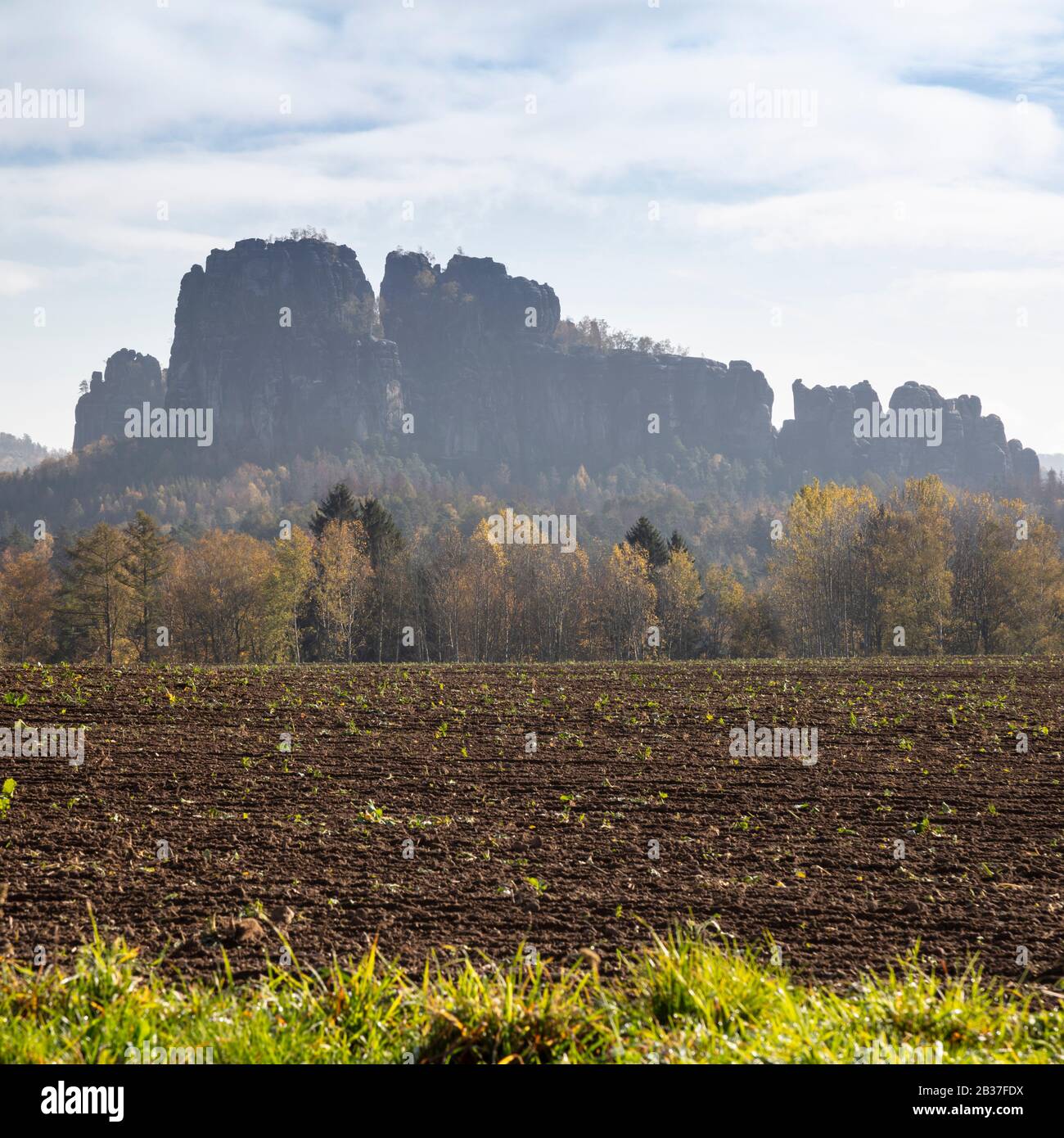 Schrammsteine, Nationalpark Sächsischen Schweiz, Elbsandsteingebirge, Sachsen, Deutschland, Europa Stockfoto