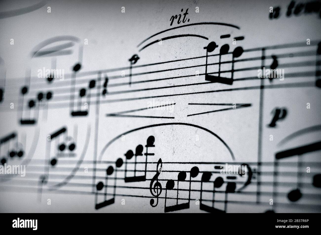Musikcamp. A Music Notes on Paper, musikalische Komposition in Noten. Stockfoto