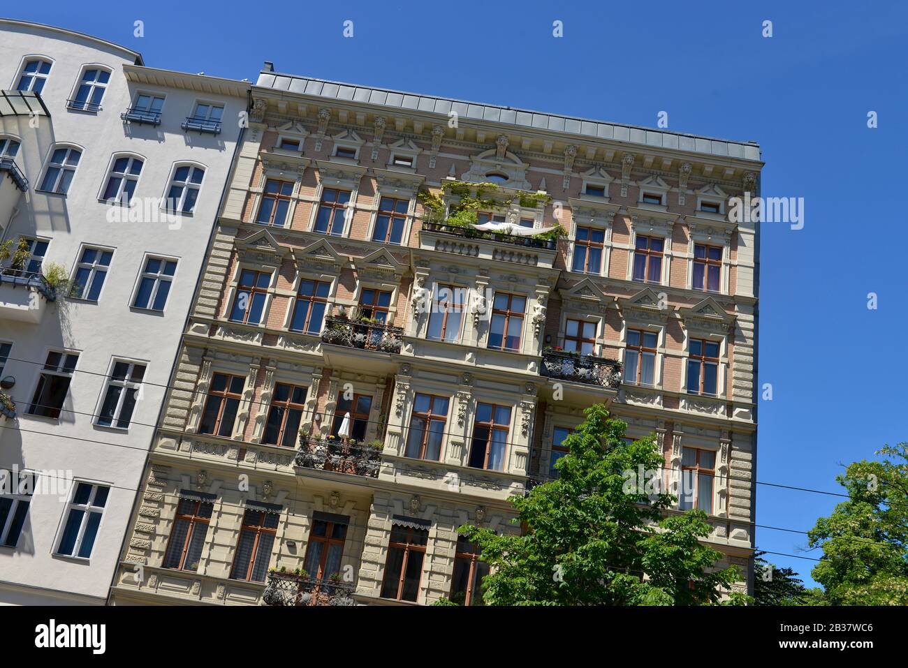 Altbau, Kastanienallee, Prenzlauer Berg, Pankow, Berlin, Deutschland Stockfoto