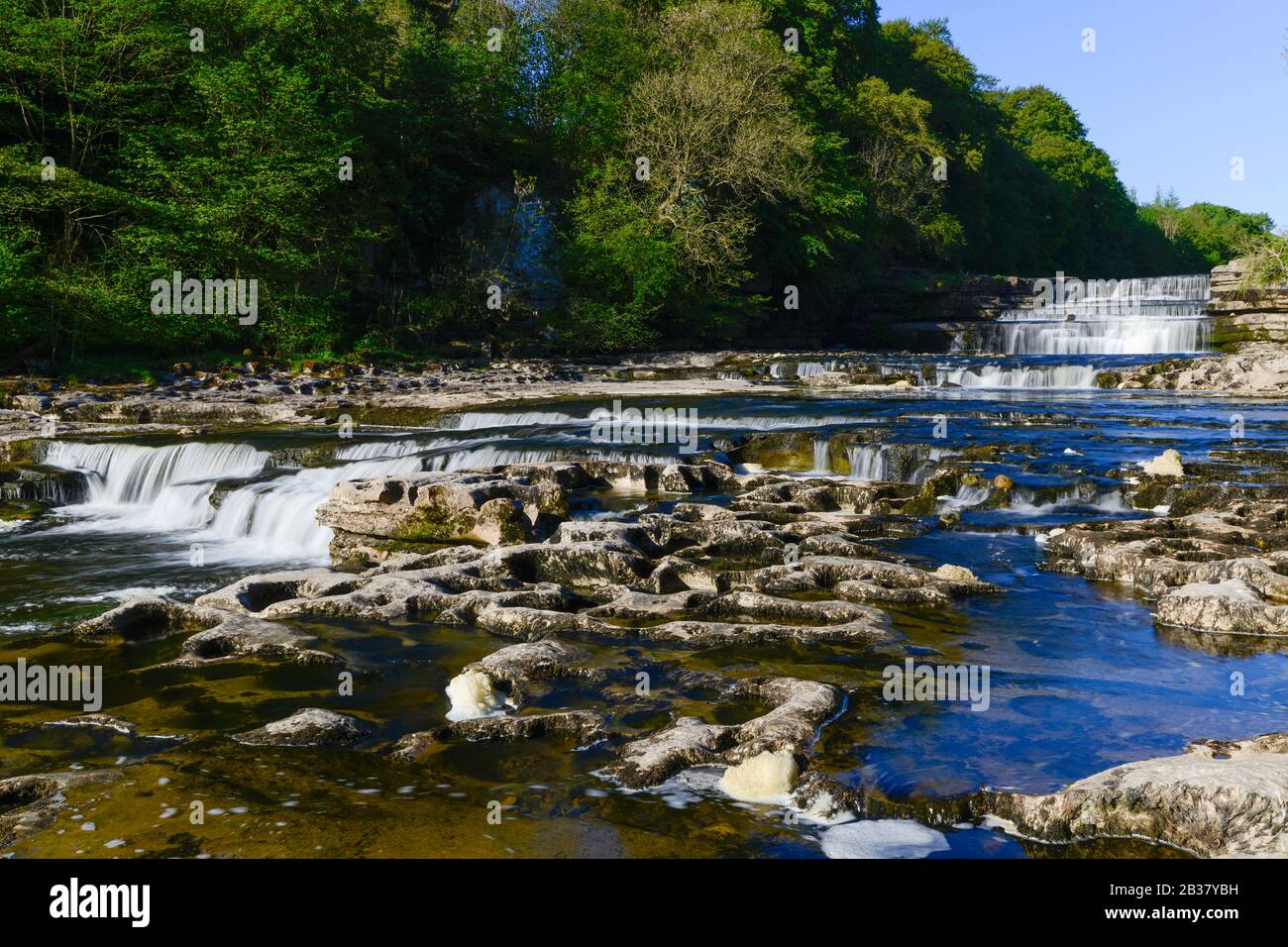 Aysgarth Lower Falls, Wensleydale, North Yorkshire Stockfoto