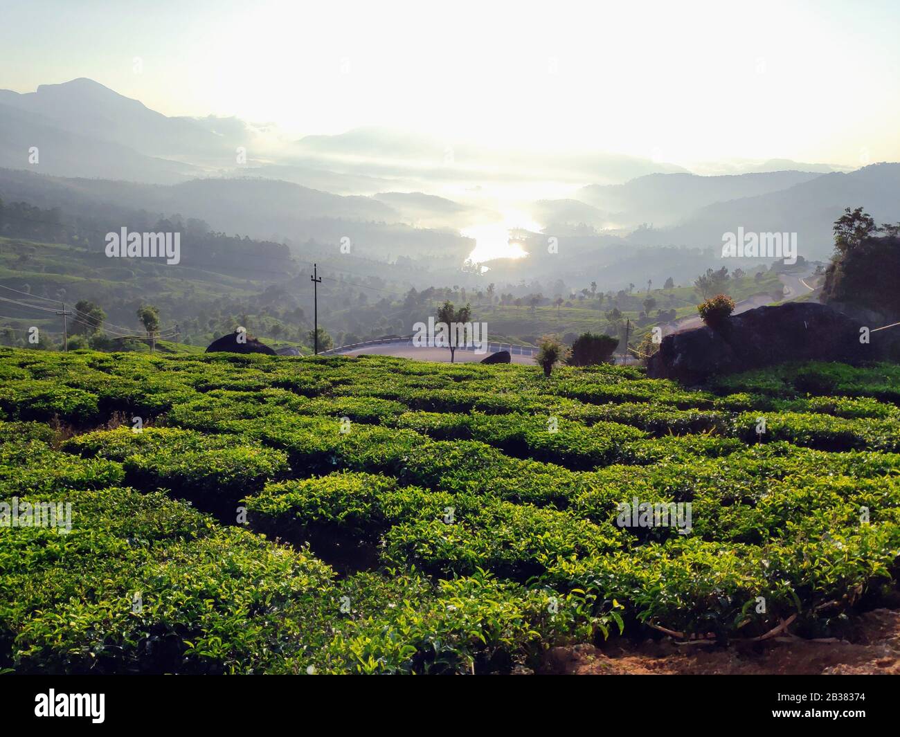 Ein Teestube am Morgen in Munnar, Kerala, Indien Stockfoto