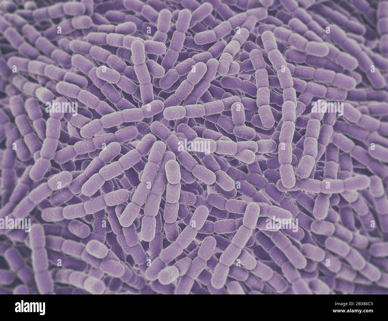 Streptococcus Pneumonie Bakterienzellen. Mikroskopischer 3D-Renderhintergrund Stockfoto