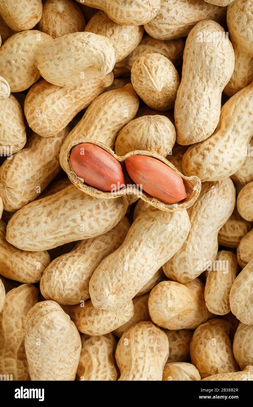 Geschälte Erdnuss auf gut Erdnüssen. Unverputzte Erdnüsse aus Rohschalen. Peanuts, für Hintergrund oder Texturen. Stockfoto