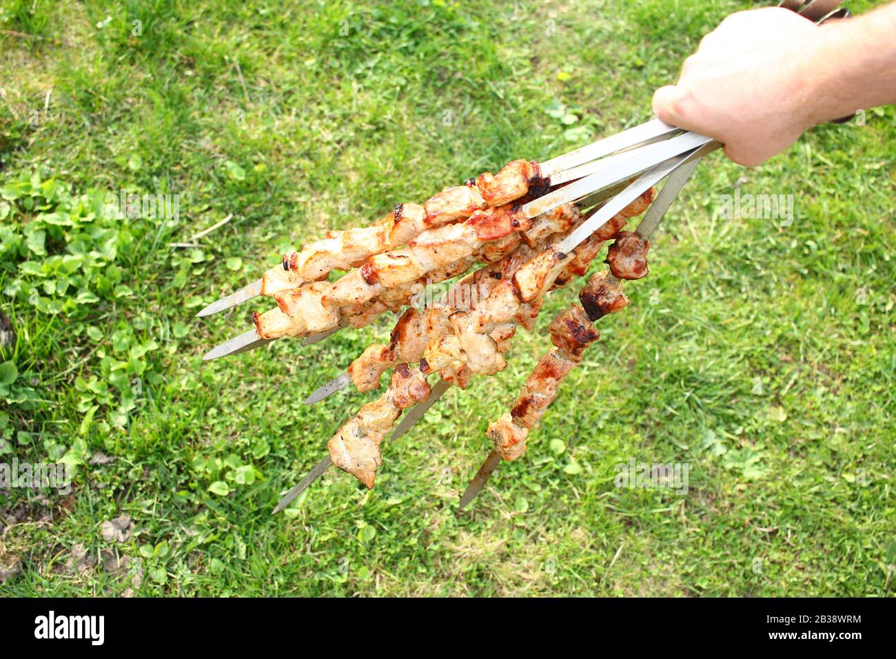 Herrenhände halten Spieße mit gebratenem Fleisch über dem Grün Gras Stockfoto