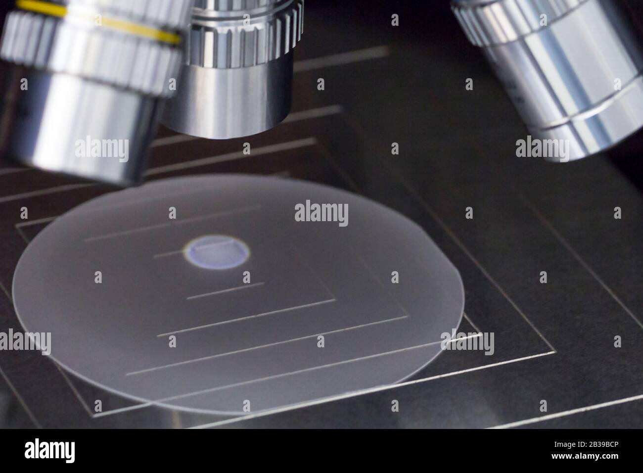 Nahaufnahme einer Probe von Saphirwafern unter dem Mikroskop im Labor.EIN Halbleiter auf einem Siliziumwafer. Selektiver Fokus. Stockfoto