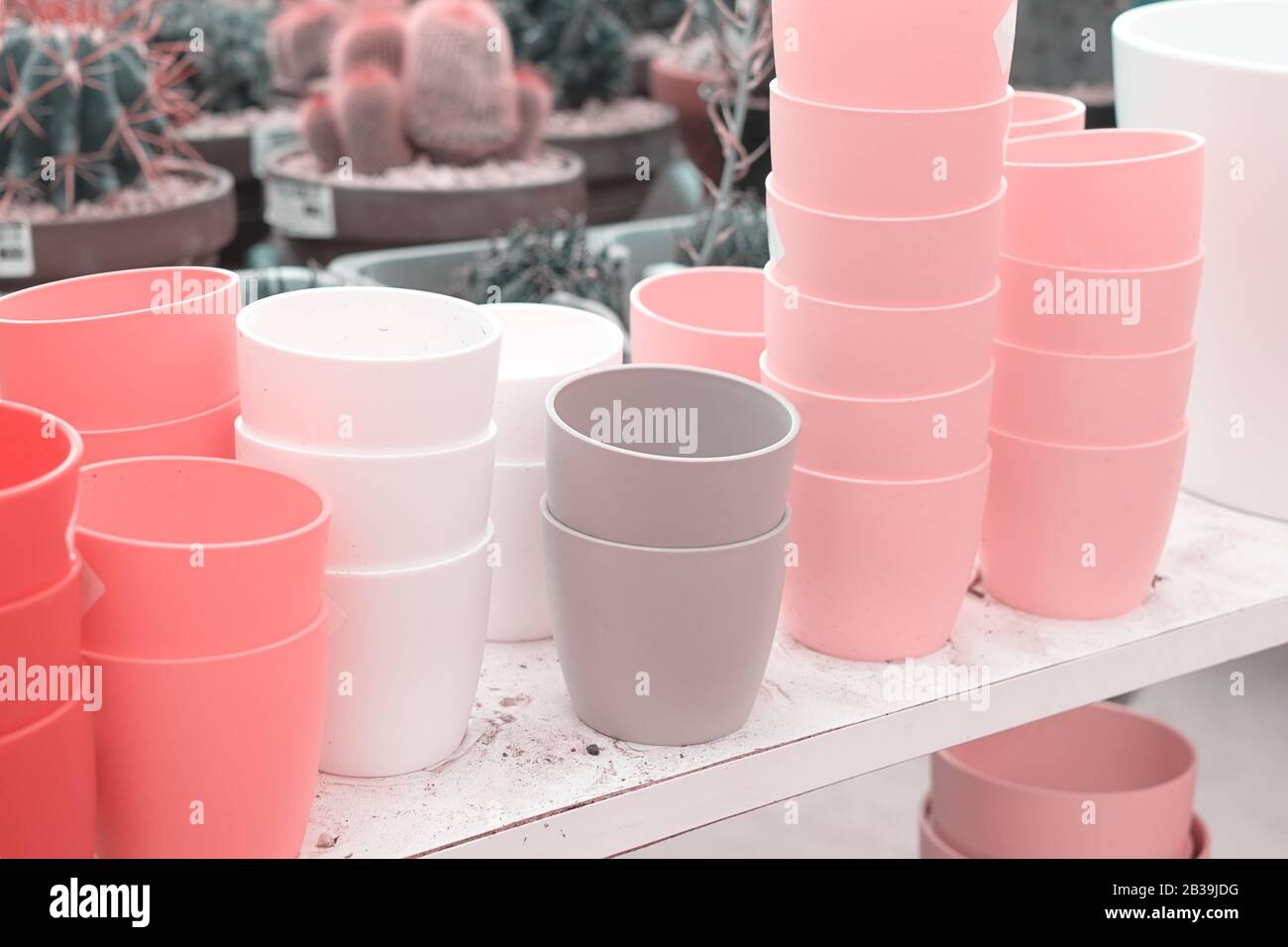 Gartenwerkstatt steht mit bunten Blumentöpfen. Vorbereitung Gartenkonzept für den Hausbau Stockfoto