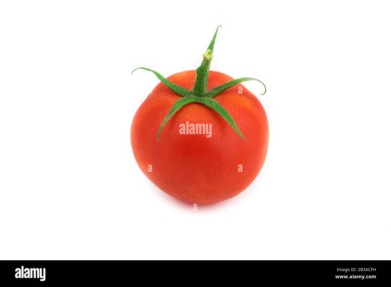 Reife frische organische Tomate isoliert auf weißem Hintergrund. Stockfoto