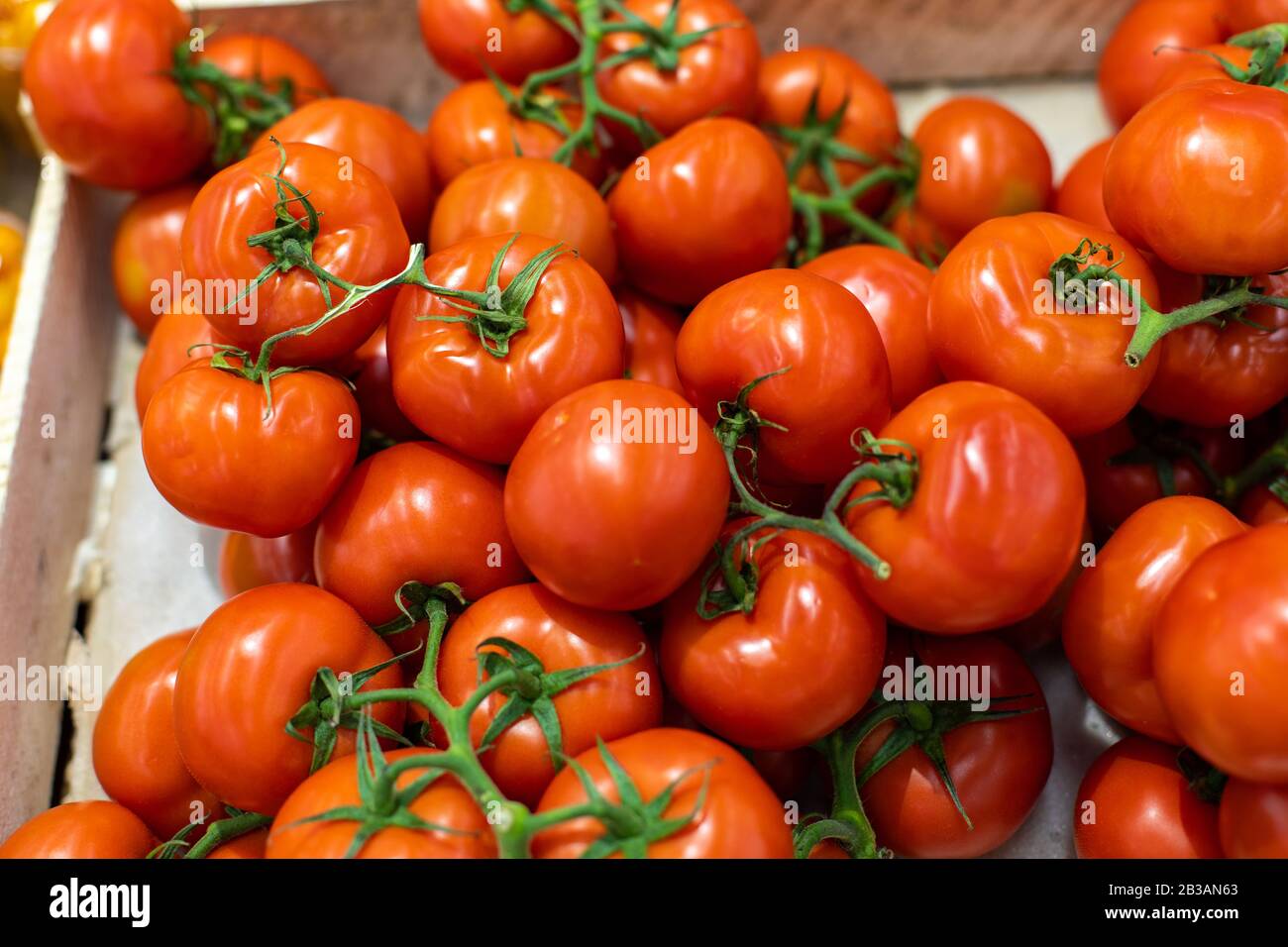 Schöne rote Tomaten auf einer Filiale in einer Schublade in einem Supermarkt. Reife Bio-Frischfarm Tomate zum Verkauf. Abteilung für frisches Gemüse im Lebensmittelgeschäft Stockfoto