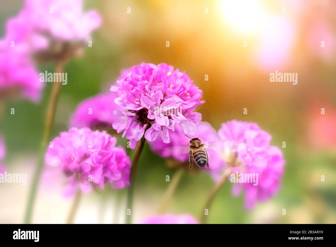 Biene an einem Blumenbogen im Garten, Aquarellzeichnung Stockfoto