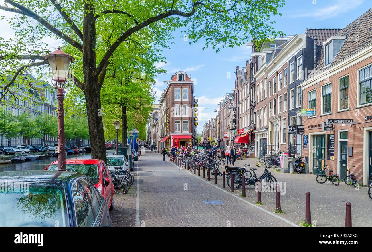 Schöne Gehwege in Amsterdam voller Bäume Niederlande Stockfoto