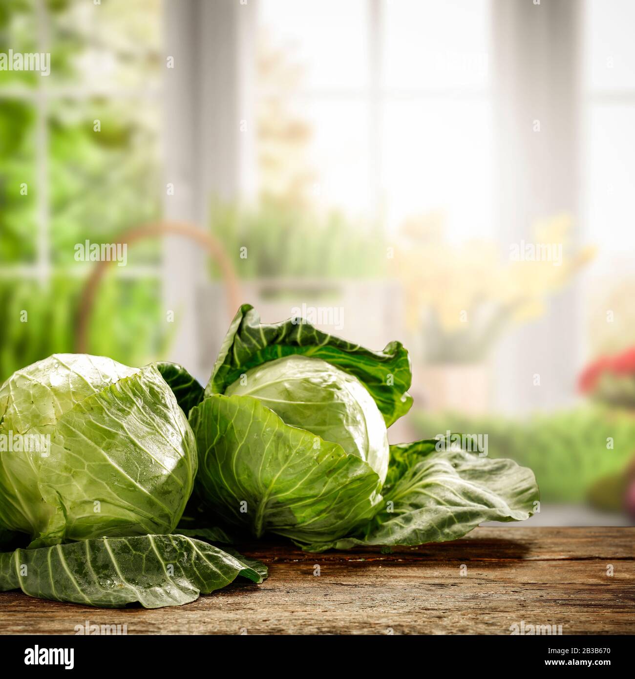 Frühlingszeit und frisches Gemüse mit Holztisch mit idyllischem ländlichen Bildhintergrund vor dem Fenster. Stockfoto