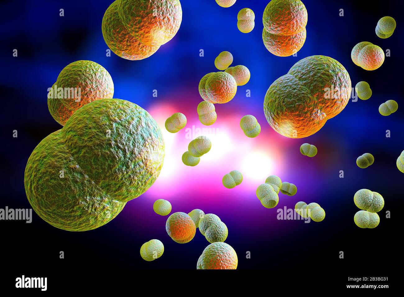Mikroskop Nahaufnahme von Meningitis-Bakterien, auch als Meningococcus 3D-Abbildung bekannt Stockfoto