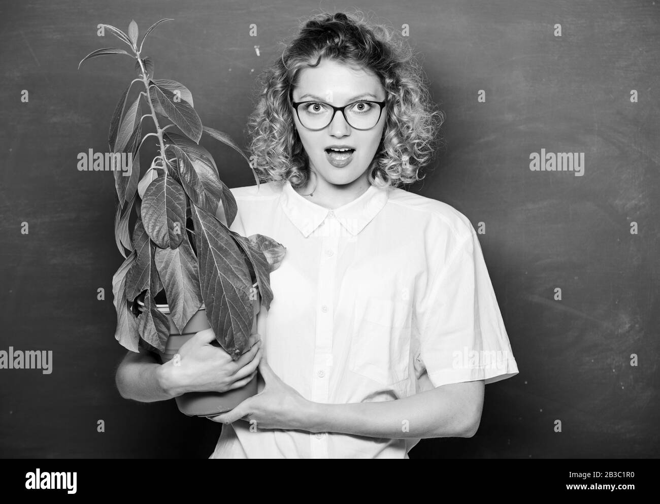 Erkunden. Schule Natur studieren. Umweltbildung. Lehrer Frau in Gläsern bei Biologie Lektion. Baum der Erkenntnis. Überrascht Schüler Mädchen mit Anlage an der Tafel. Stockfoto
