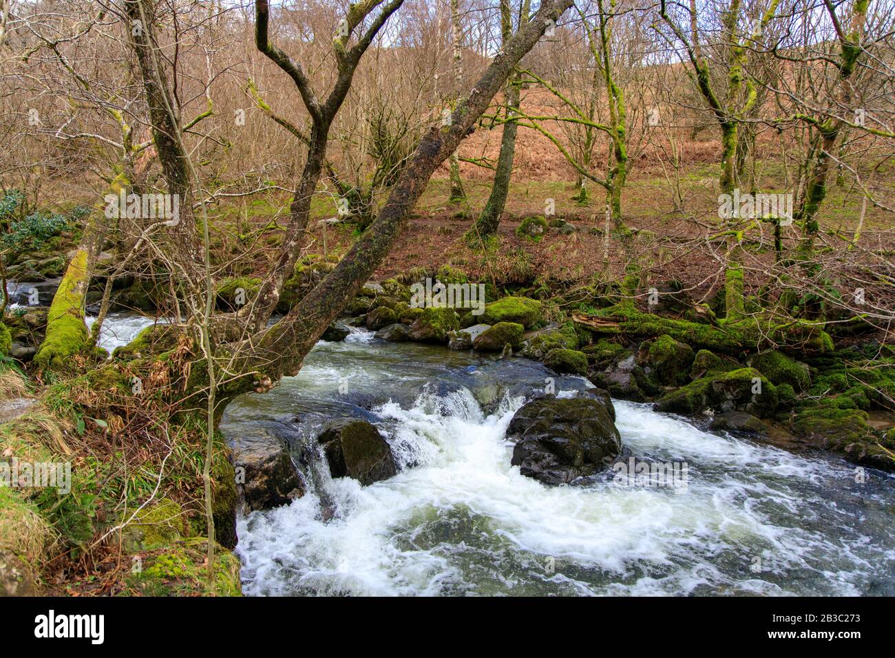 ARIA Force Wasserfall, ullswater, Lake District Stockfoto