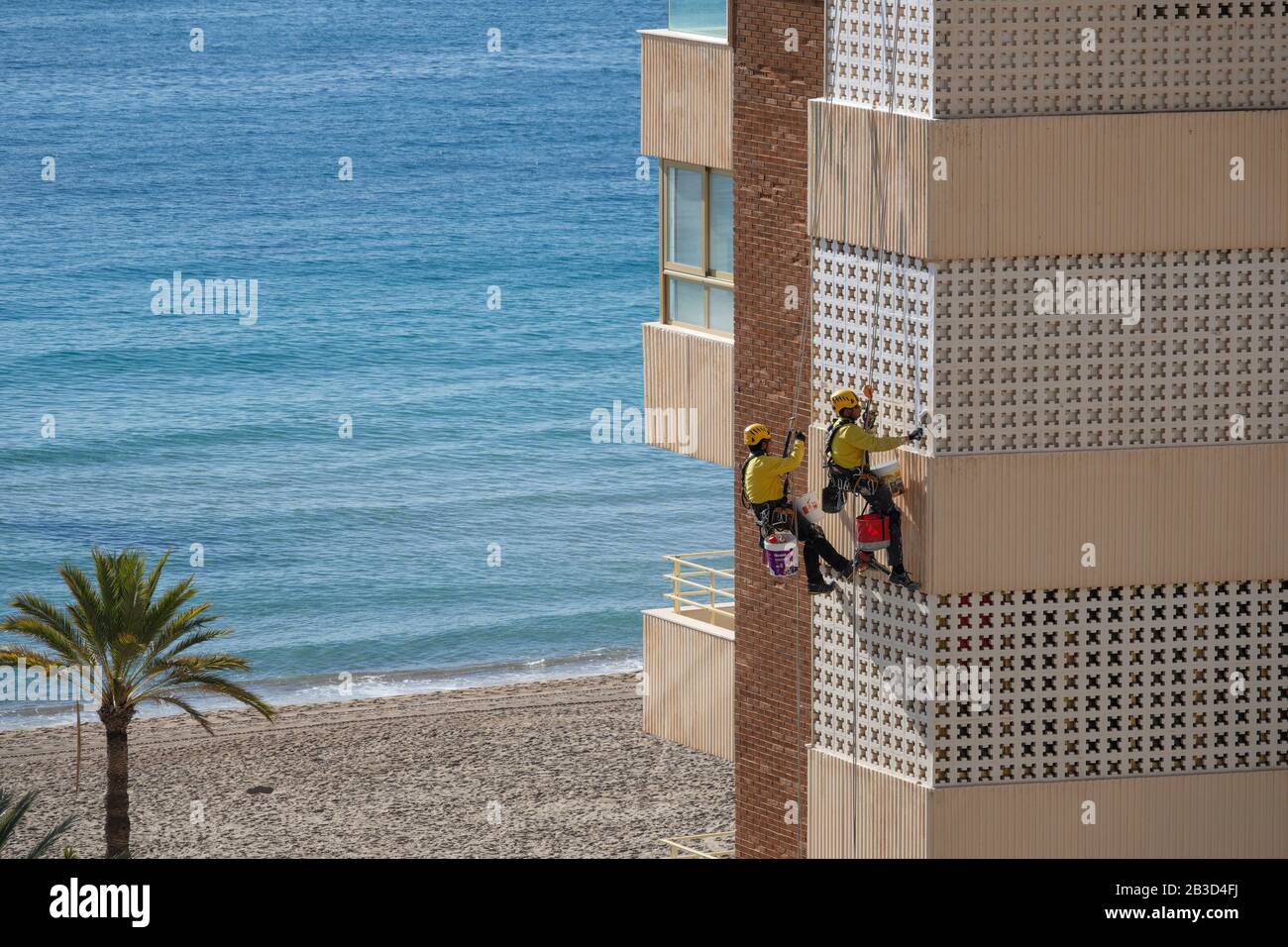 Zwei Männer, die an Seilen in einem Bosun-Stuhl hängend eine PSA-Sicherheitsausrüstung tragen und dabei ein Hochhaus mit Meer im Hintergrund und Palme beschleifen. Stockfoto