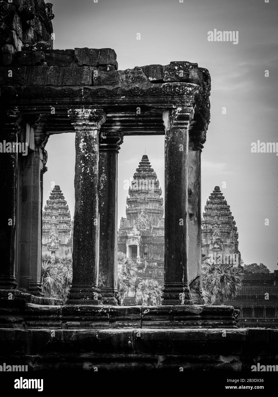 Bild des Tempels Angkor Wat; Archäologischer Park Angkor Wat, Siem Reap, Kambodscha. Stockfoto