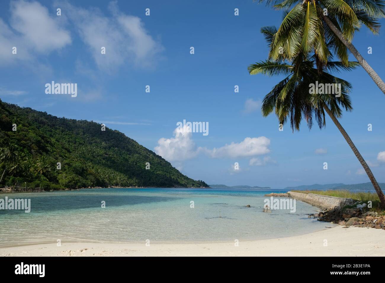 Anambas Inseln Indonesien - einsamer Strand mit riesigen Palmen Stockfoto