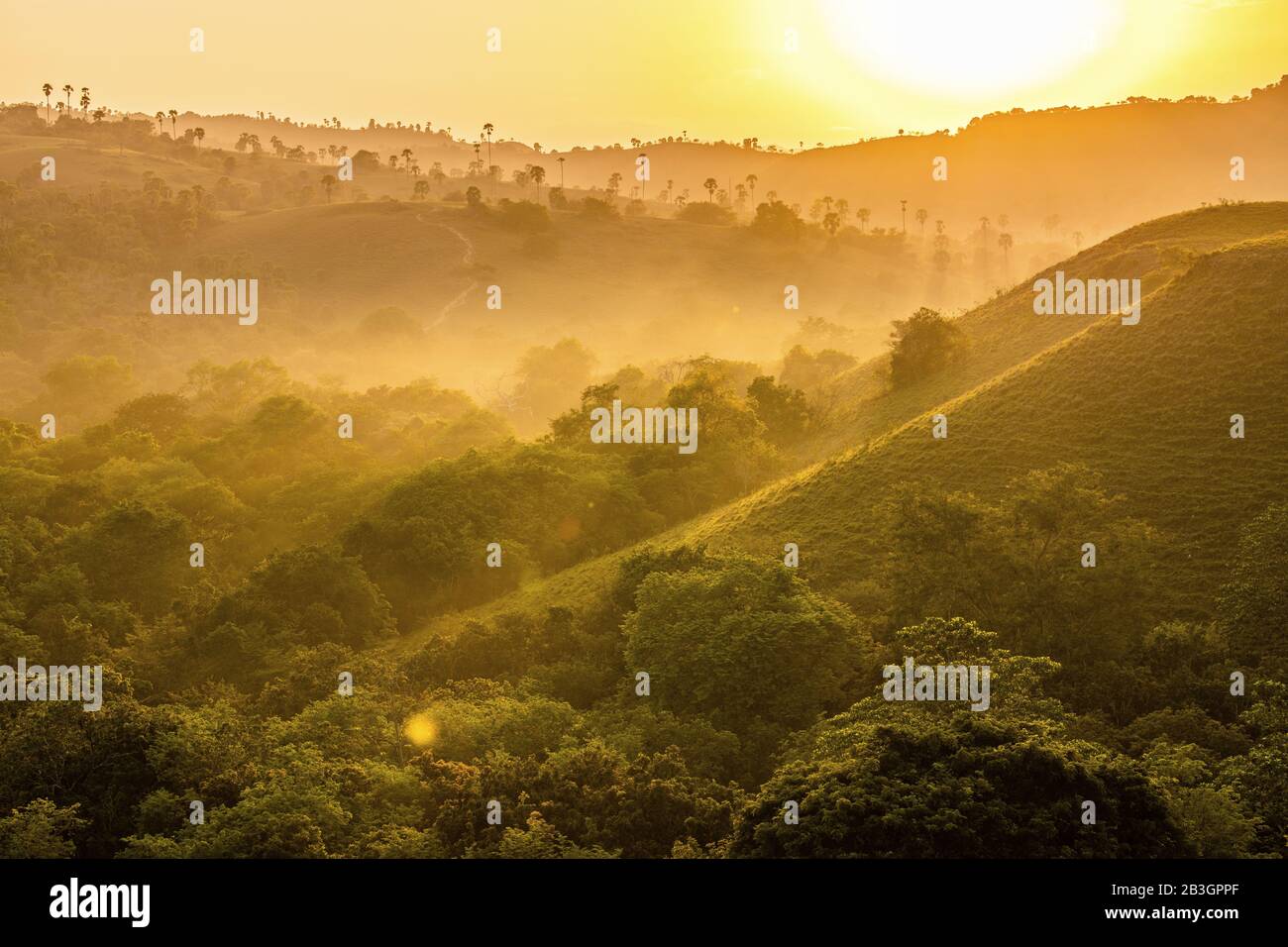 Blick am frühen Morgen auf die Insel Rinca (Komodo-Nationalpark), Rinca, Molukken, indonesische Maluku, Gewürzinseln, indonesische Inseln, malaiischer Archipel Stockfoto