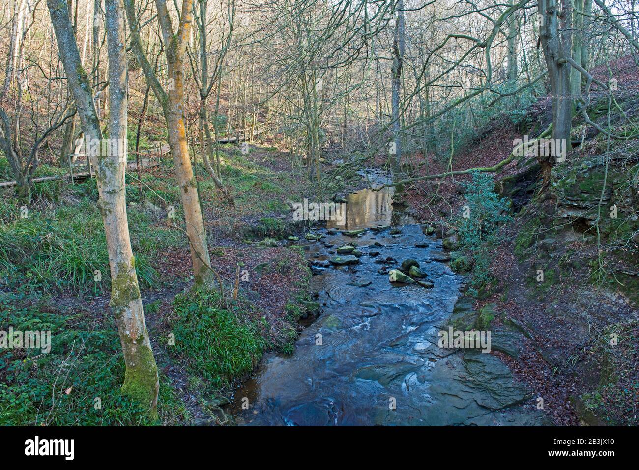 Kleiner Bach, der über Felsen durch die ländliche Landschaft führt, Waldlandschaft Stockfoto