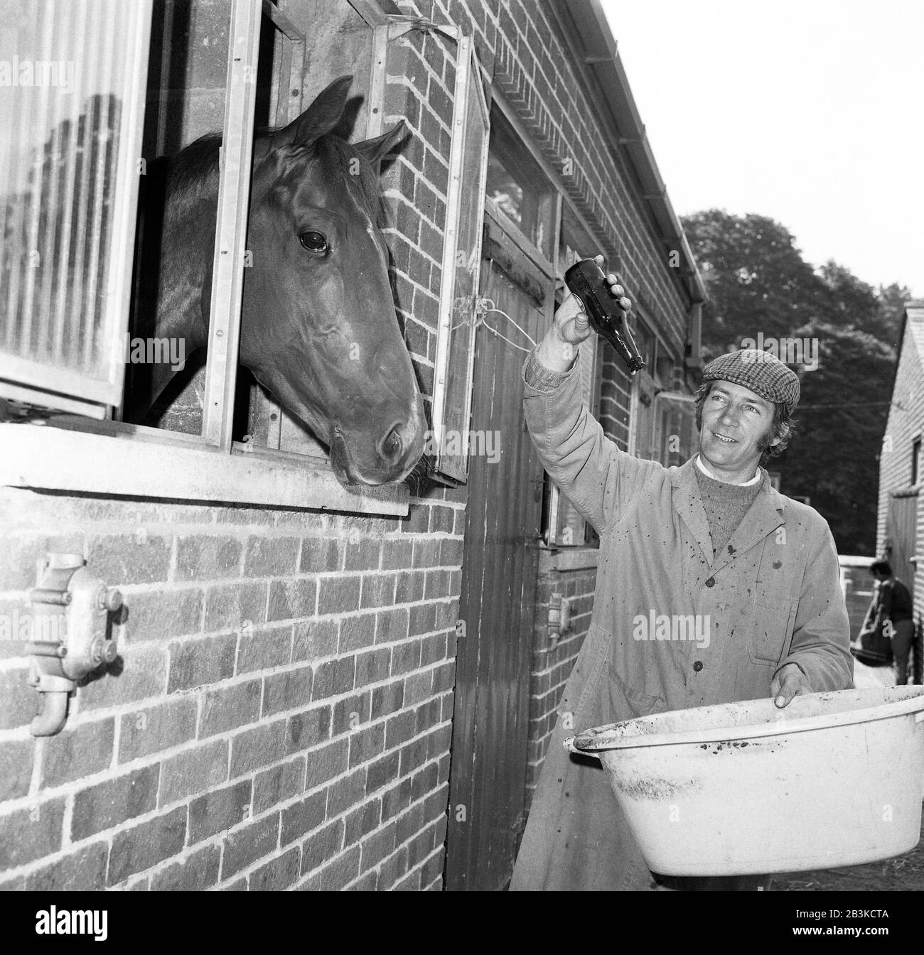 Besitzer, Trainer und Pferdezüchter, Arthur Budgetts Derby-Sieger Morston, abgebildet in seinen Whatcombe Stables, Berkshire. Stockfoto