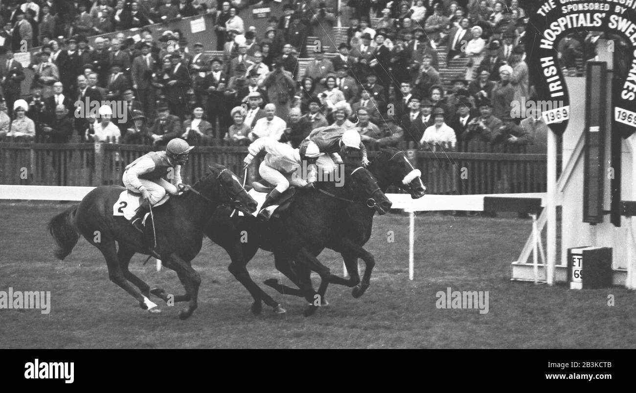 Hart umkämpfte Finish to the Middle Park Stakes in Newmarket mit Huntercombe (Mitte), E. Johnson Up, winning from Yellow God, Lester Piggott (auf Schienen). Drittens ist Divine Gift (Nr. 2), J. Lindley Up. Stockfoto